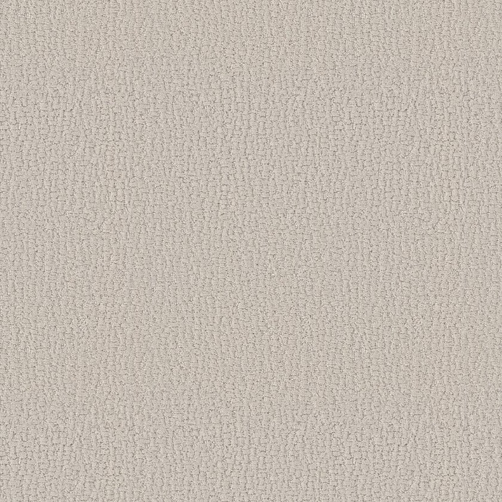 Studio Set - Scotch Mist