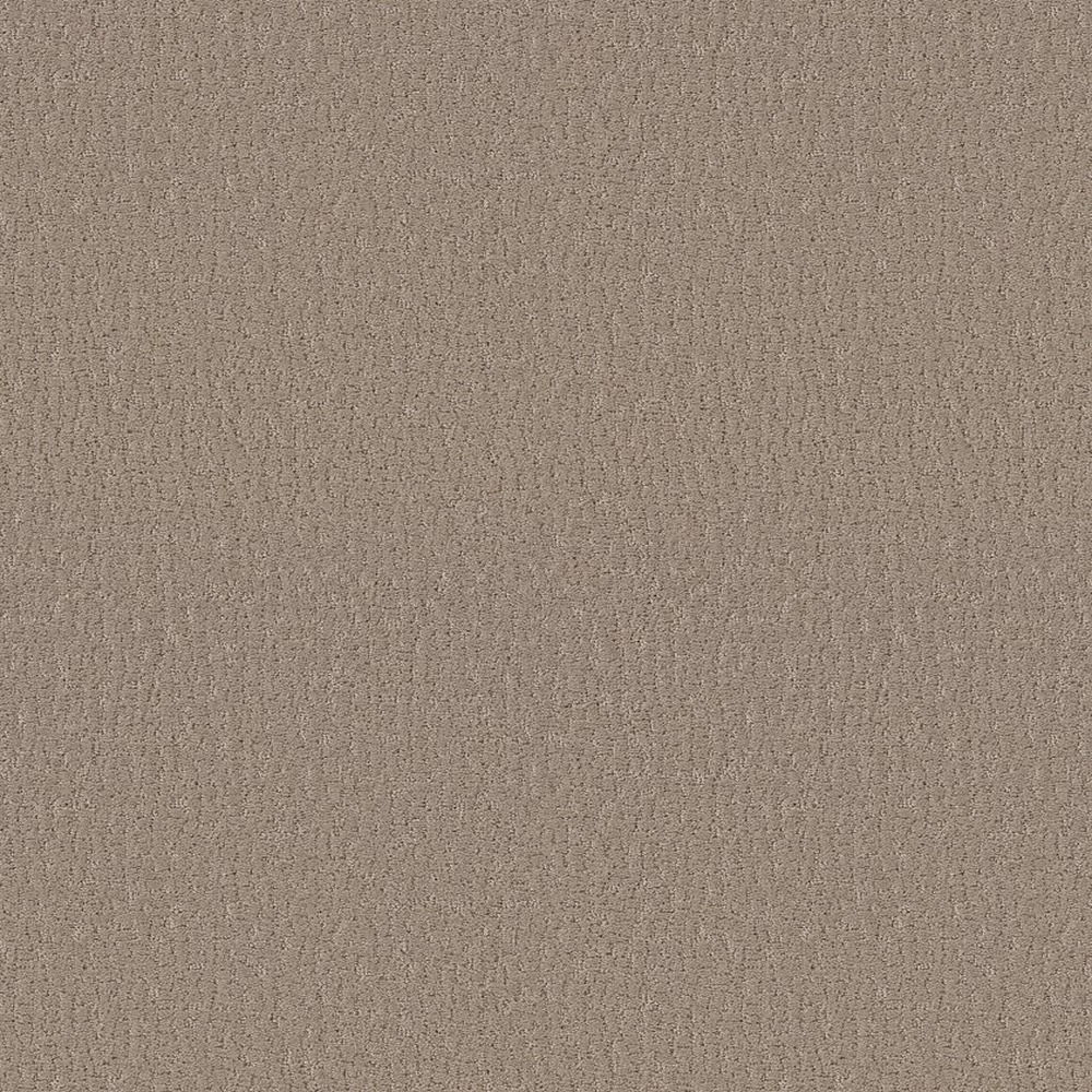 Studio Set - Kindling