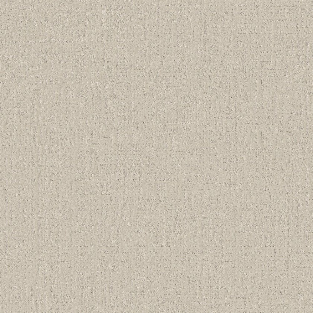 Studio Plaza - Scotch Mist