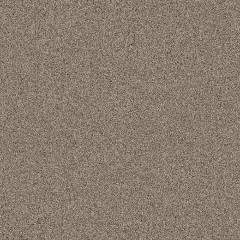 Velvet Touch I - Plaza Taupe