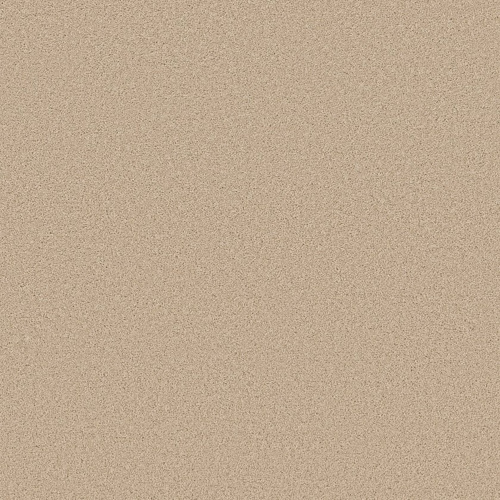 Velvet Touch II - Cashew