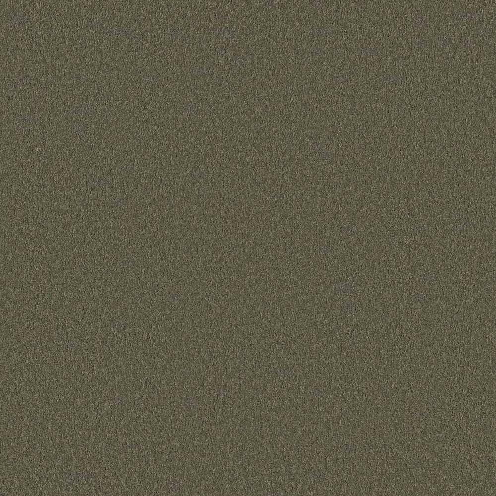 Velvet Touch II - Rerooted Nature