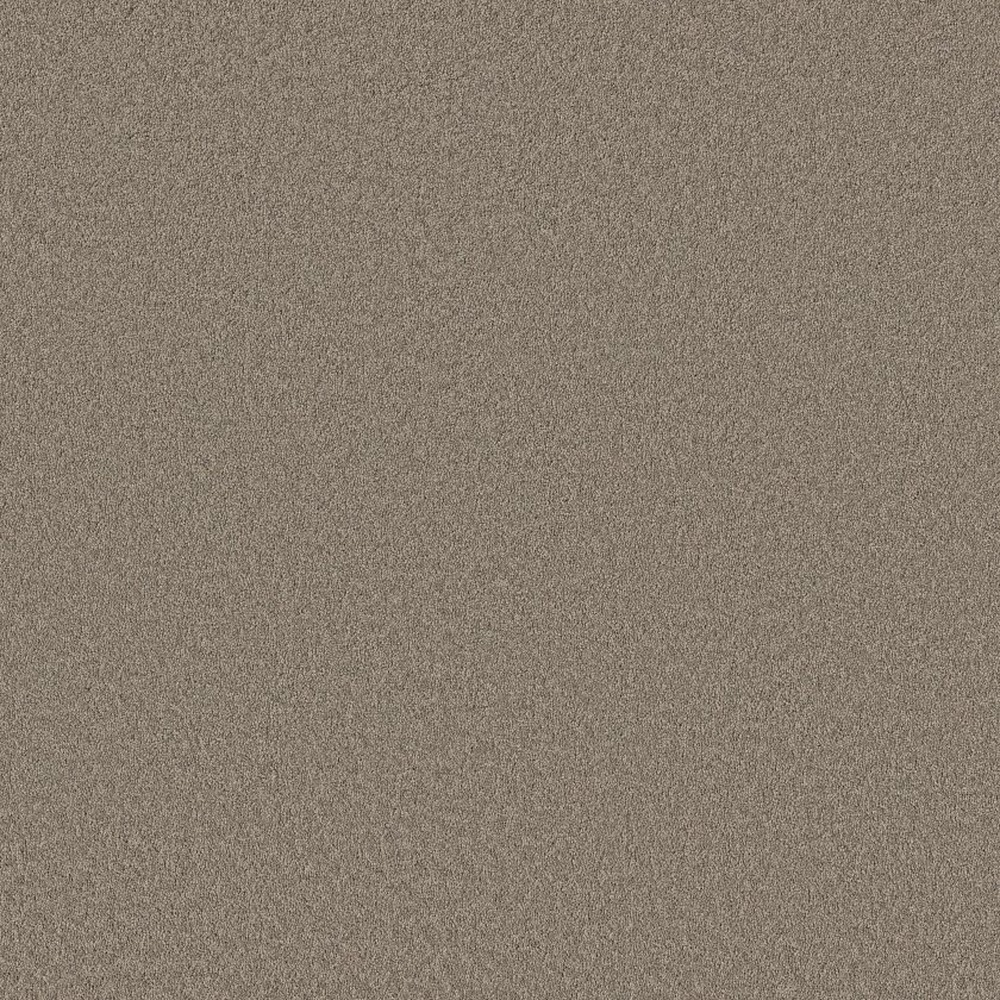 Velvet Touch II - Plaza Taupe