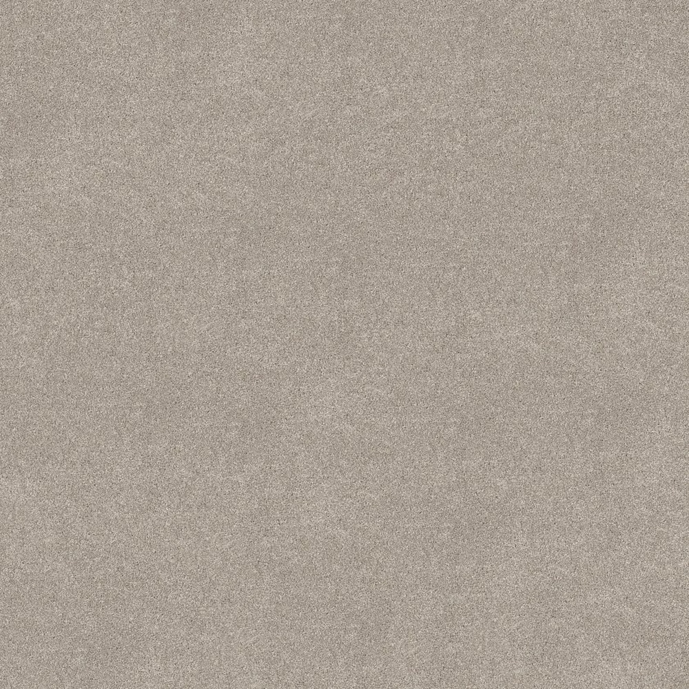 Vivid Touch I - Chic Taupe