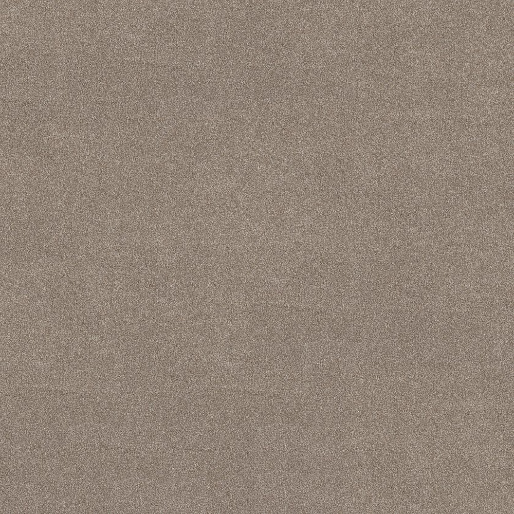 Vivid Touch II - Mocha