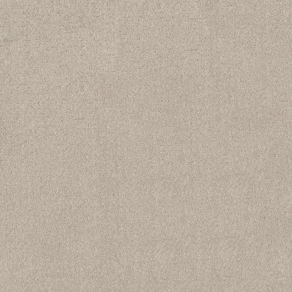 Secret Destination - Beige Mist