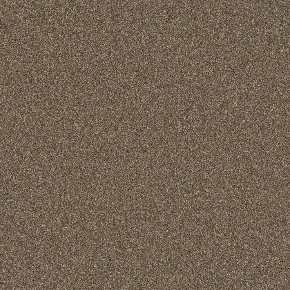 AGILITY - ROASTED COFFEE