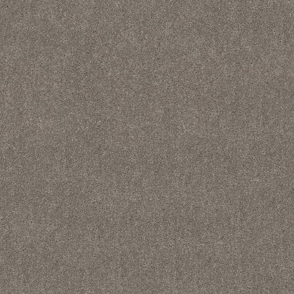 HOT TOPIC - WINTER BIRCH
