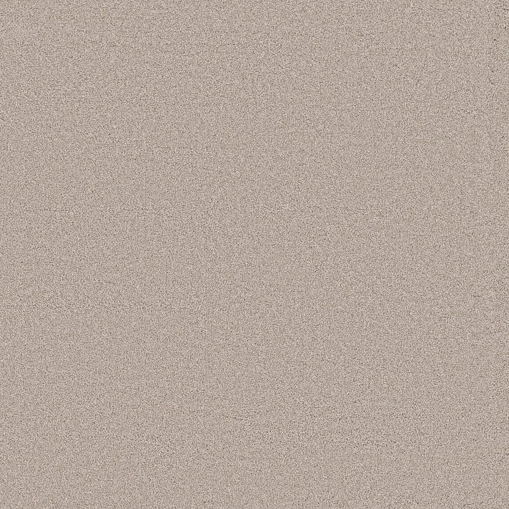 Blended Touch II - Venetian Plaster