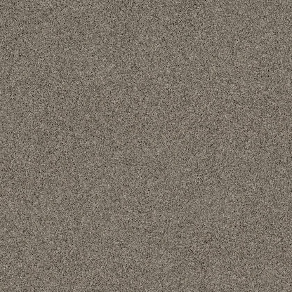 Pure Affection S - Pier