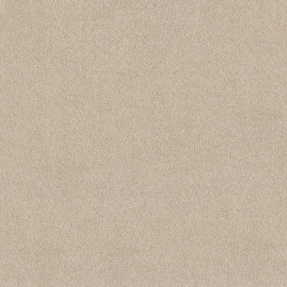 Pure Affection T - Dune View