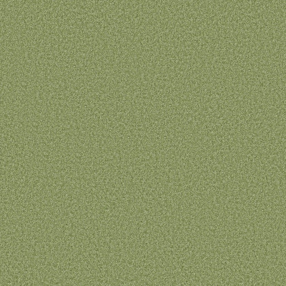 The Bright Side - Four Leaf Clover