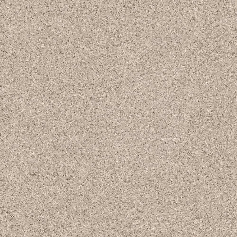 Secret Adventure - Dune View