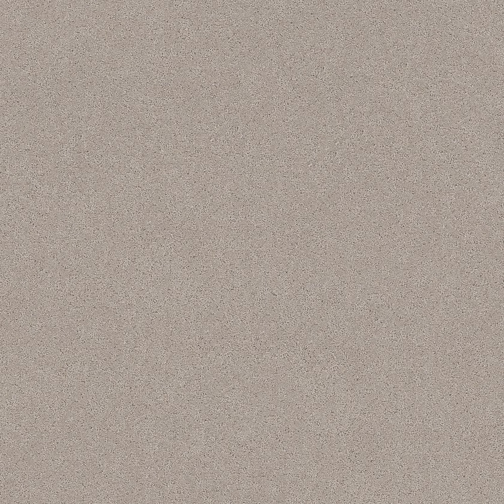 Secret Adventure - Chic Taupe