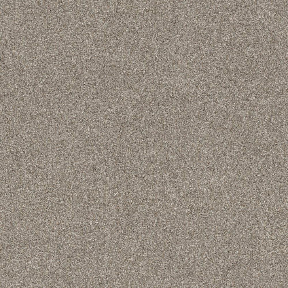 GOOD IDEA - WINTER DUNES