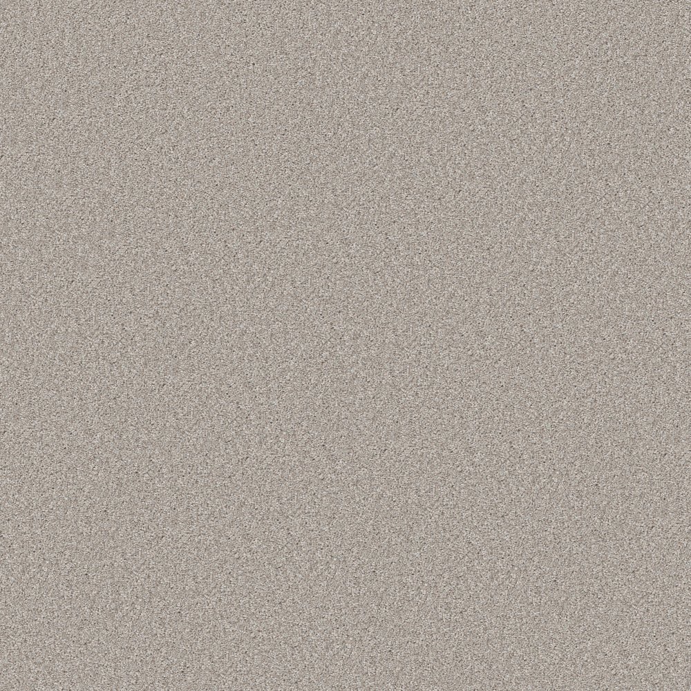 Good Move II - Desert Light