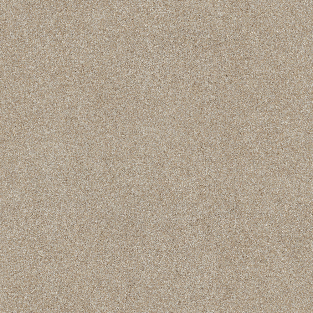 Masterpiece I - Practical Beige