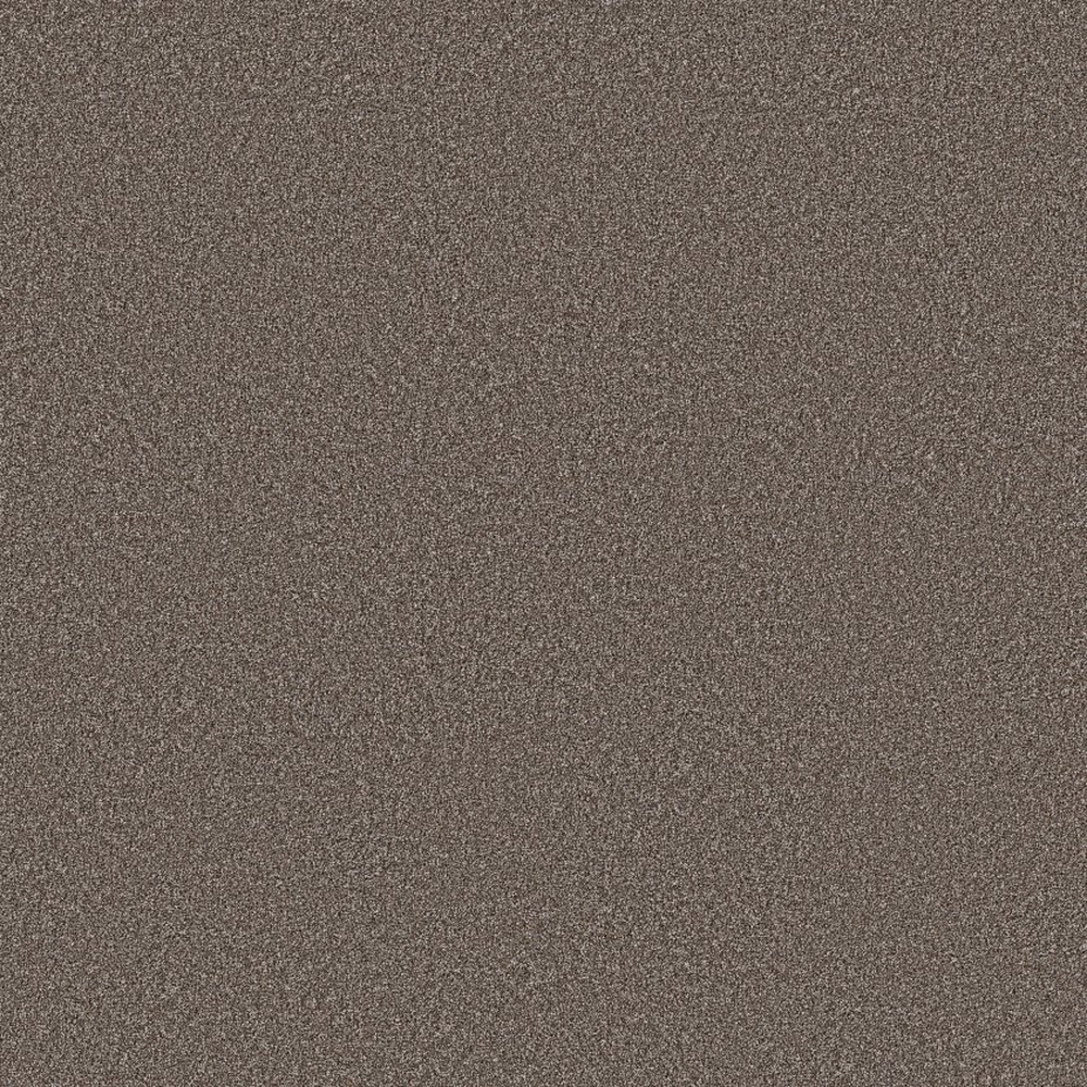 Imaginable II - French Roast