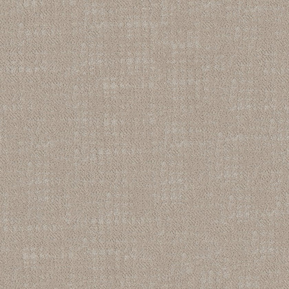Tailored Craft - Abalone