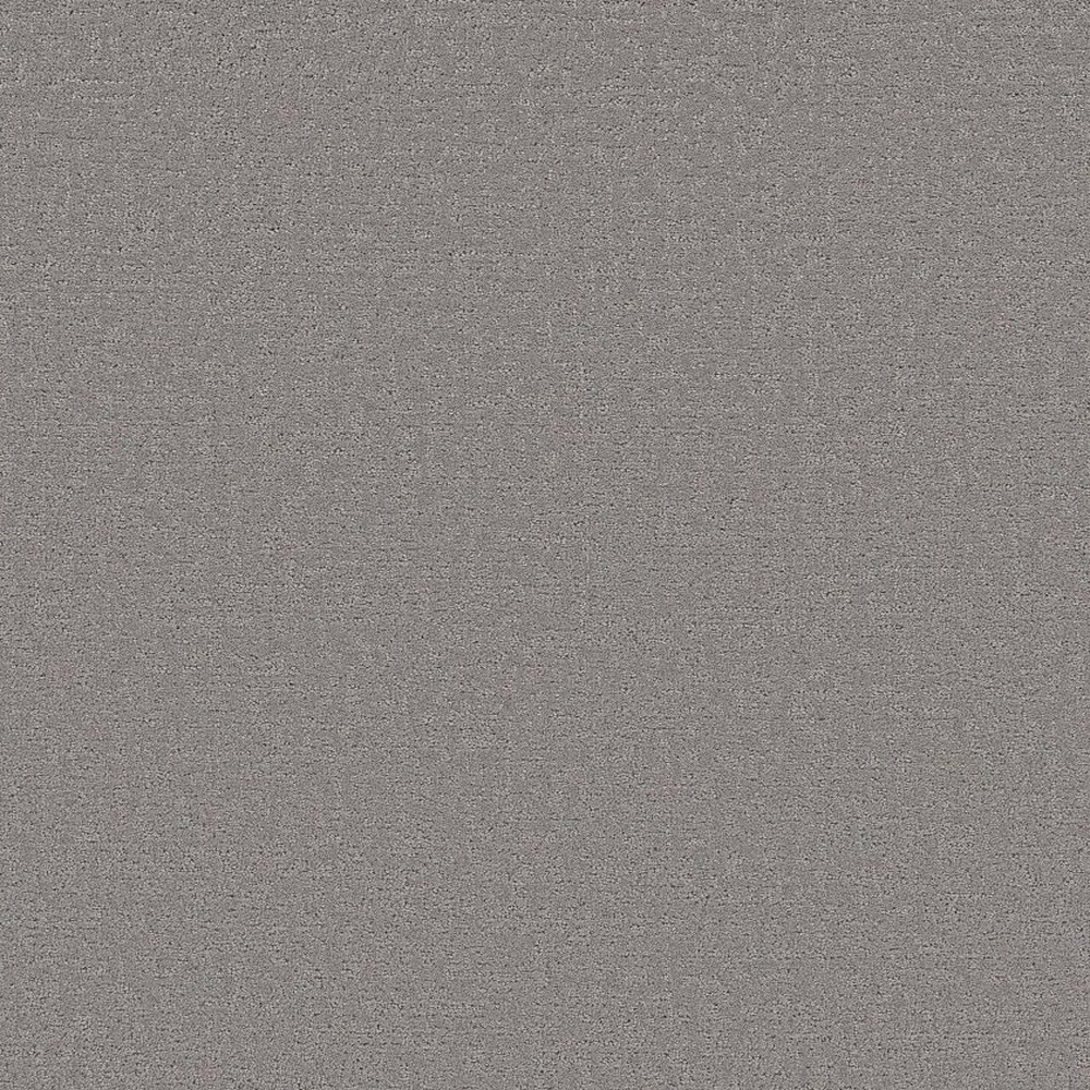 Refined Canvas - 12' - Dolphin Sighting