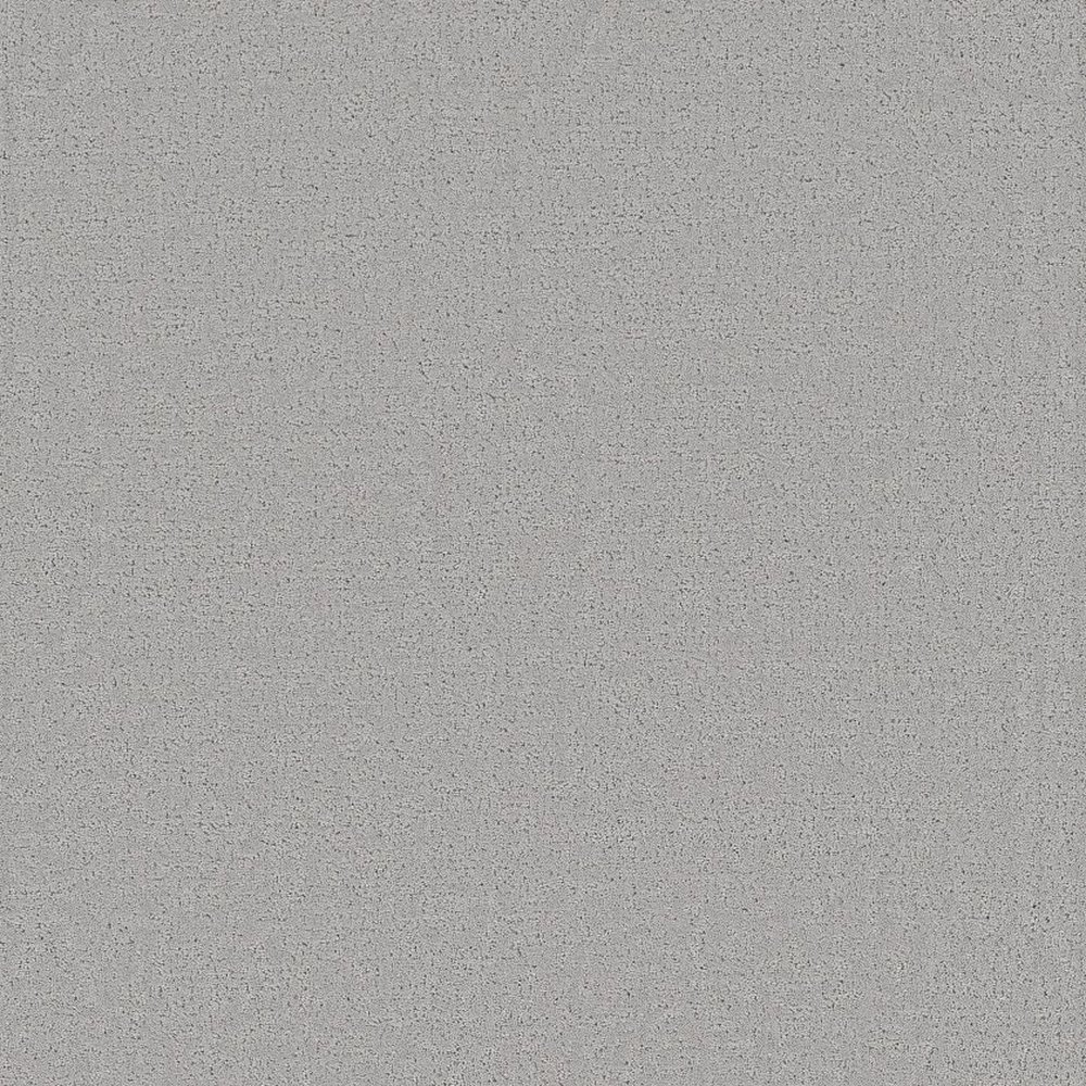 Refined Canvas - 12' - Polished Silver