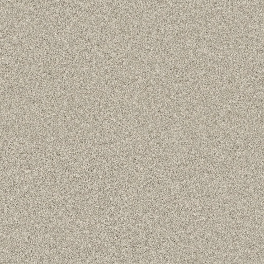 Pure Comfort II - 12' - Homemade Ice Cream