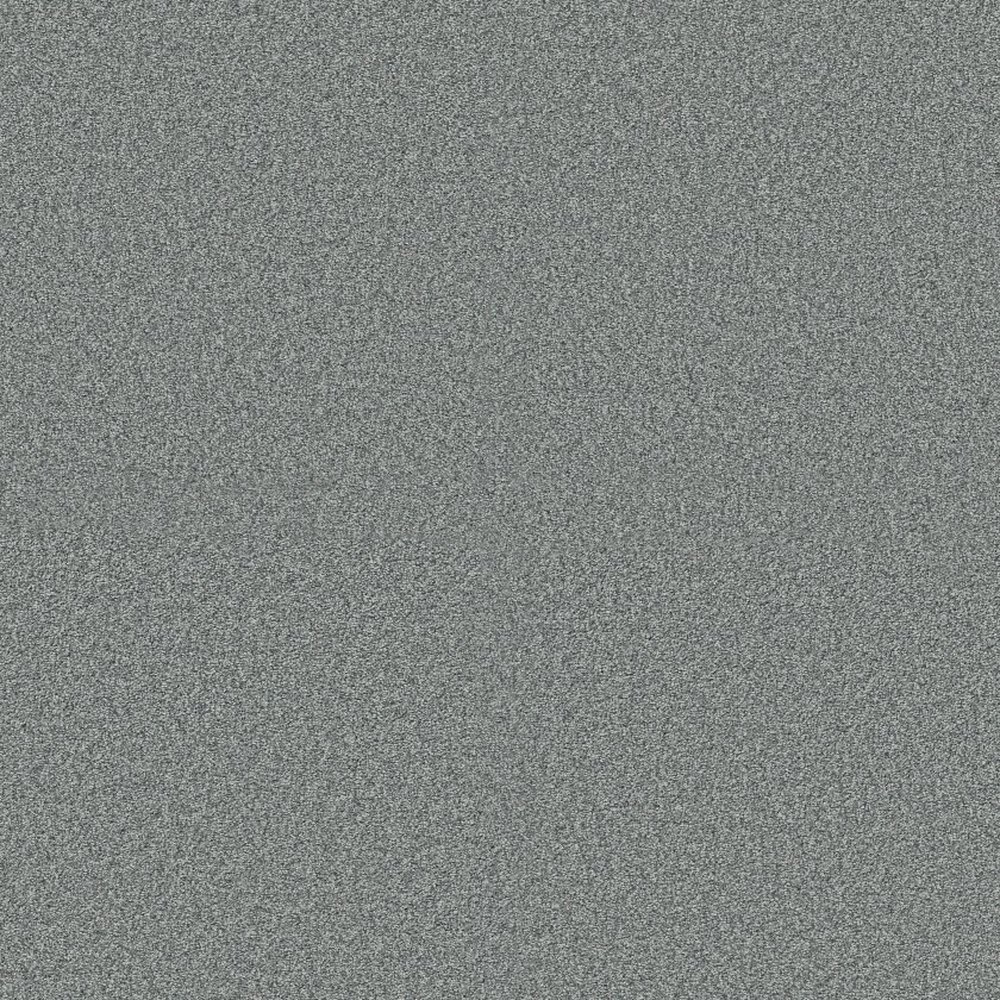 Pure Comfort II - 12' - Dolphin Sighting