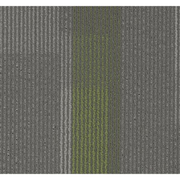 Amplify Plank - 3177
