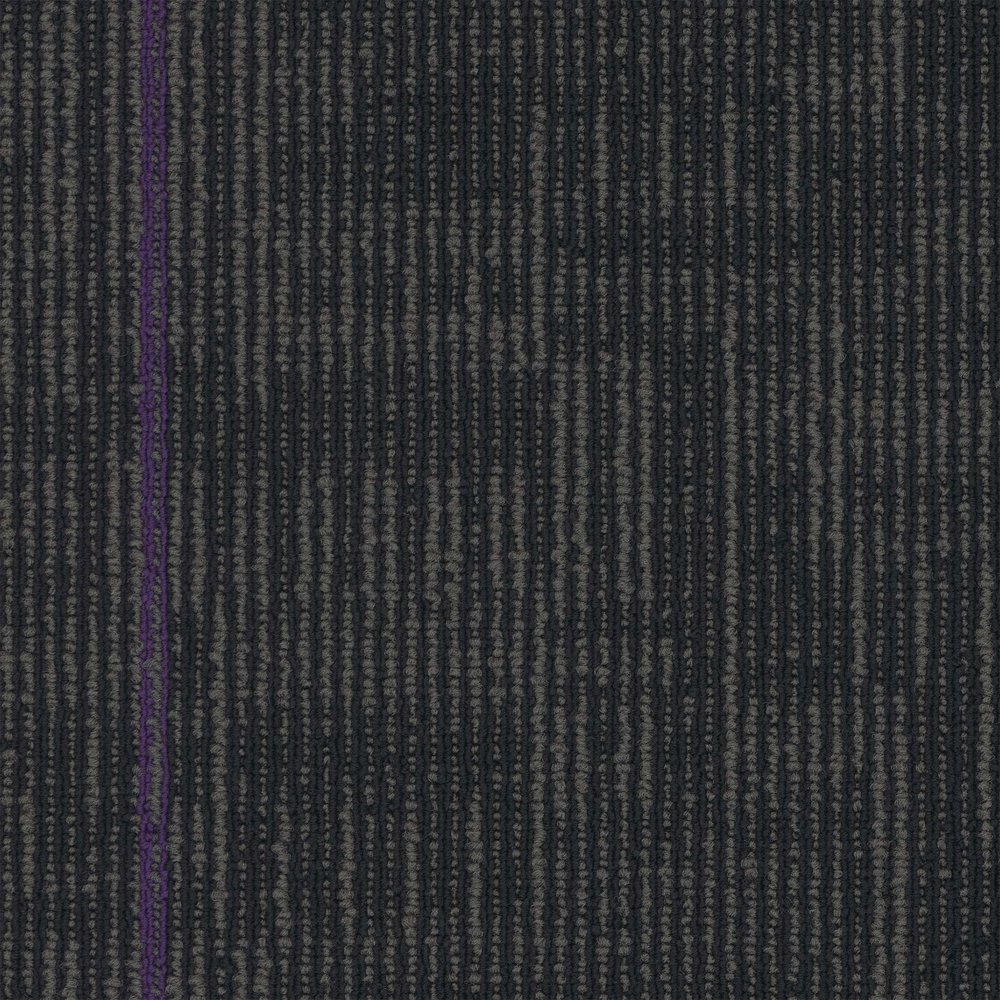 Echo Plank - Royal Purple