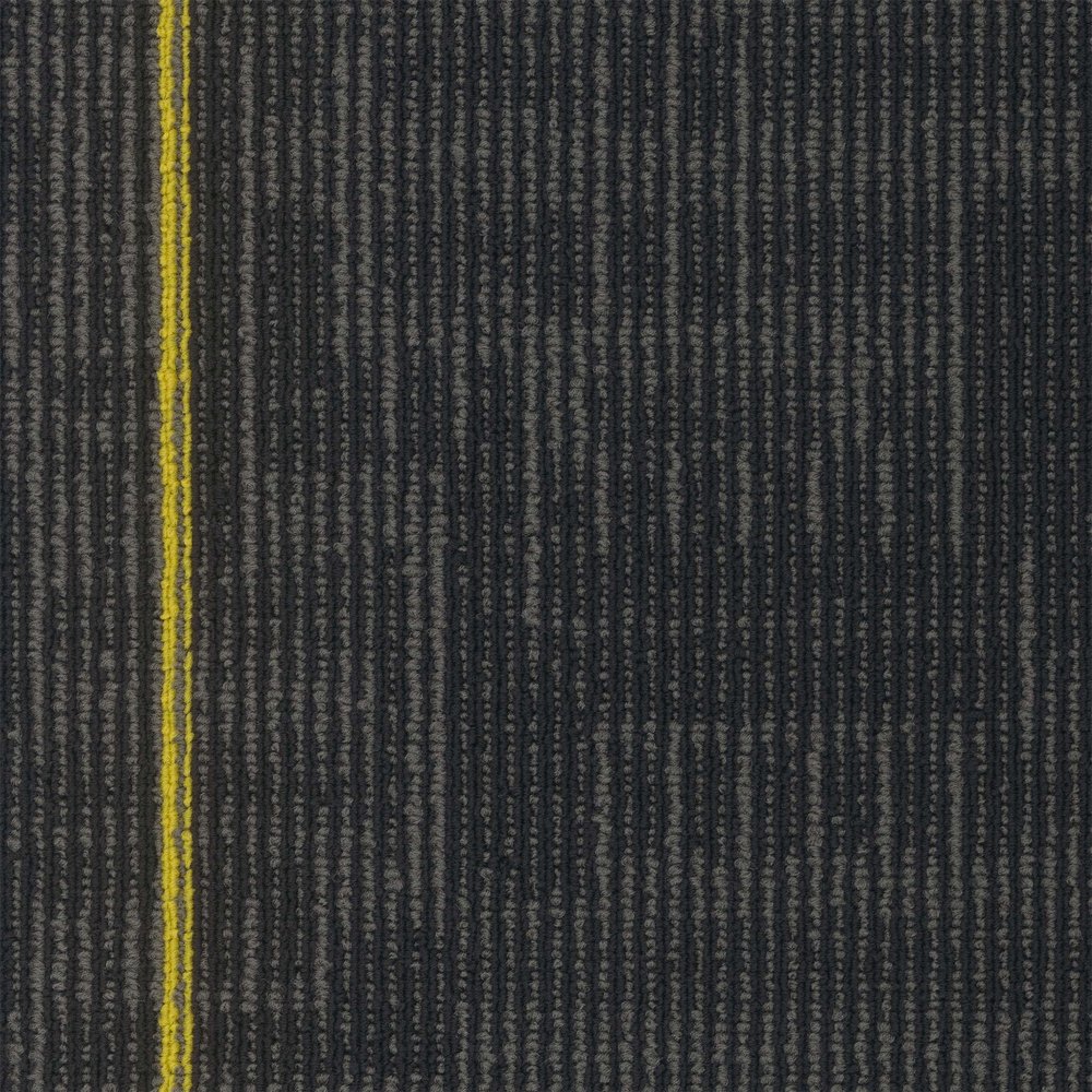 Echo Plank - Cyber