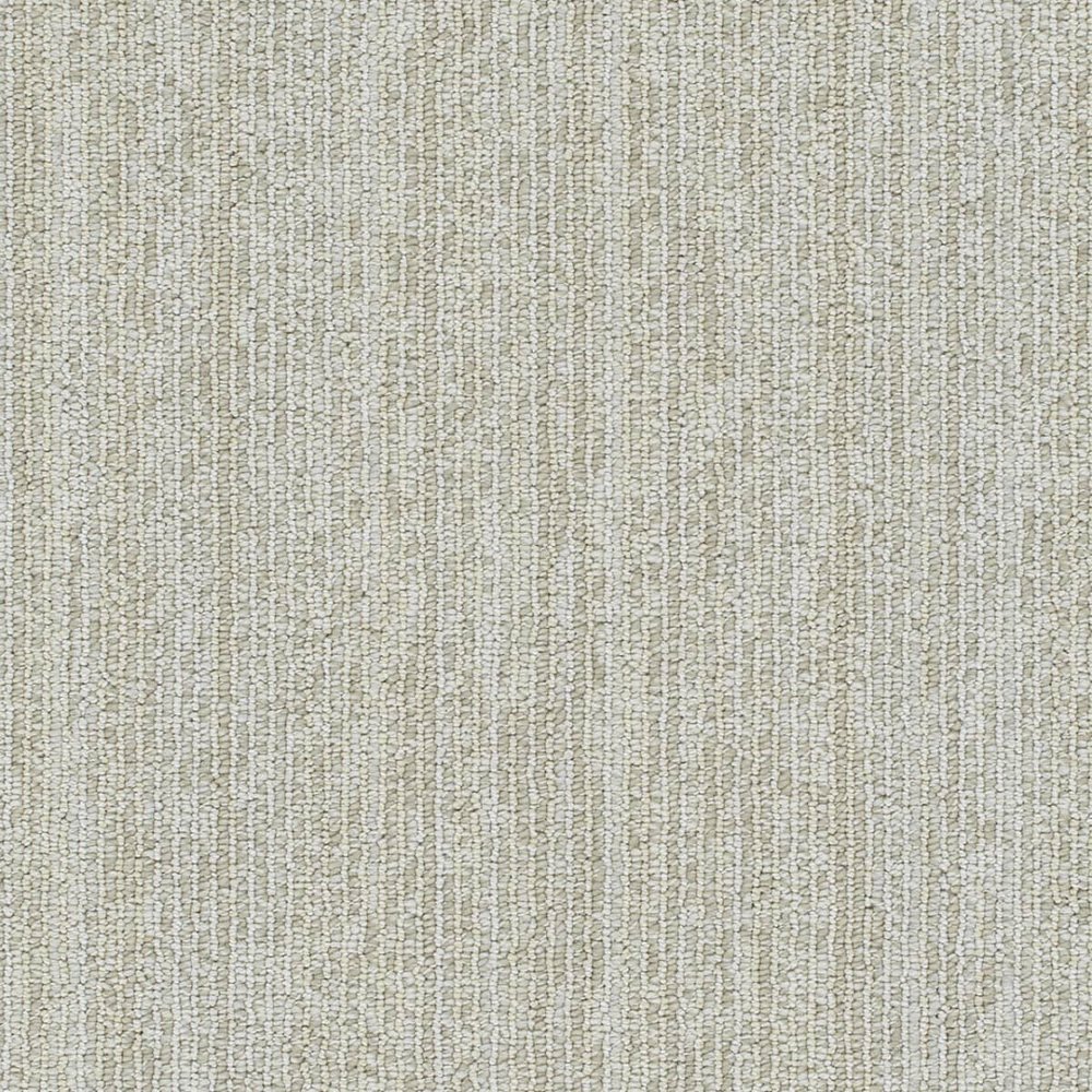 Newport - Alpaca