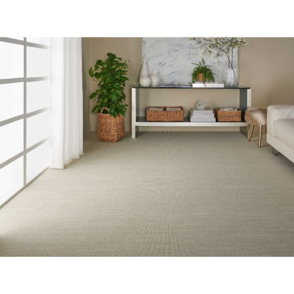 Bellevue Nourtex Carpet Save 3050 at Carpet Express