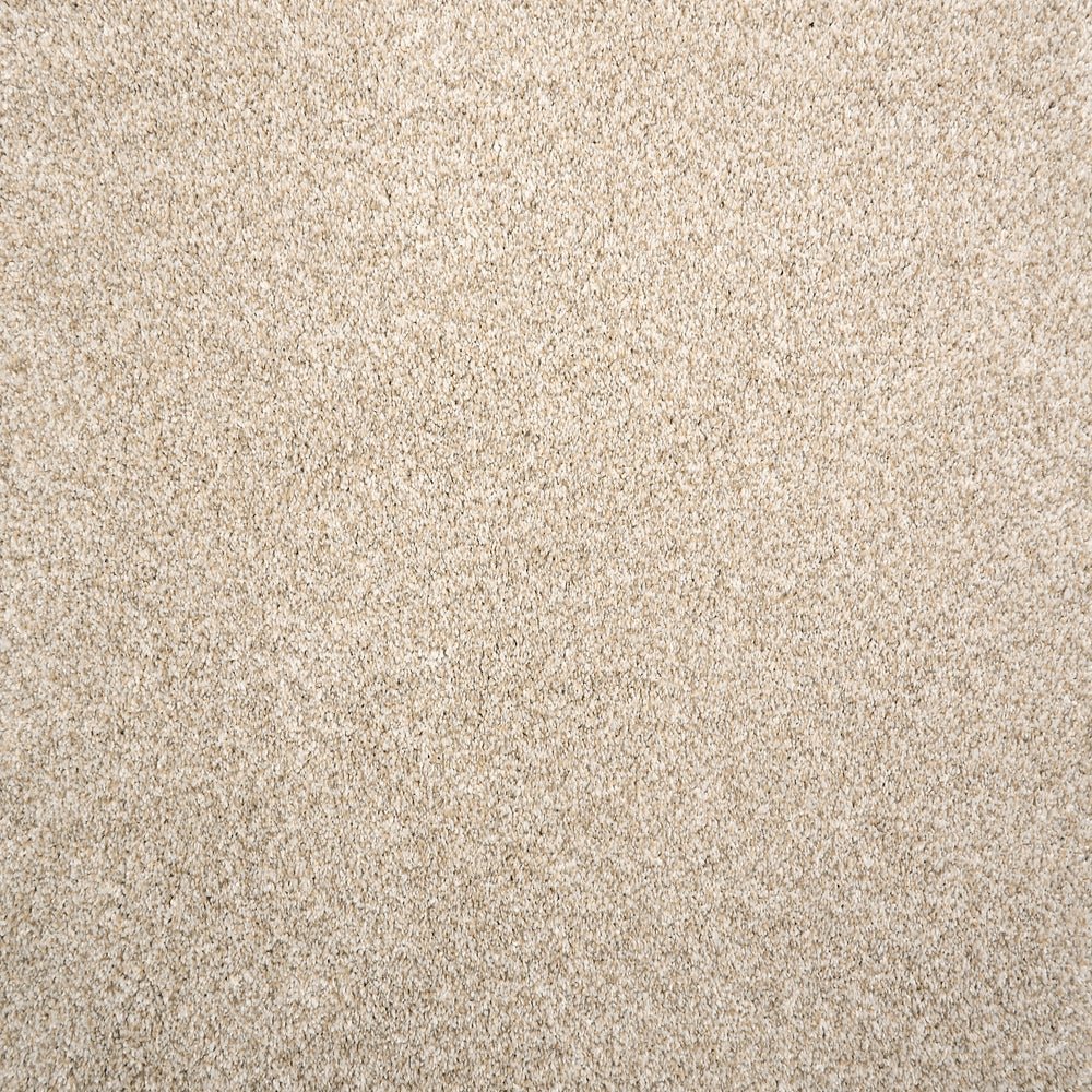 Beech Hill - Sand