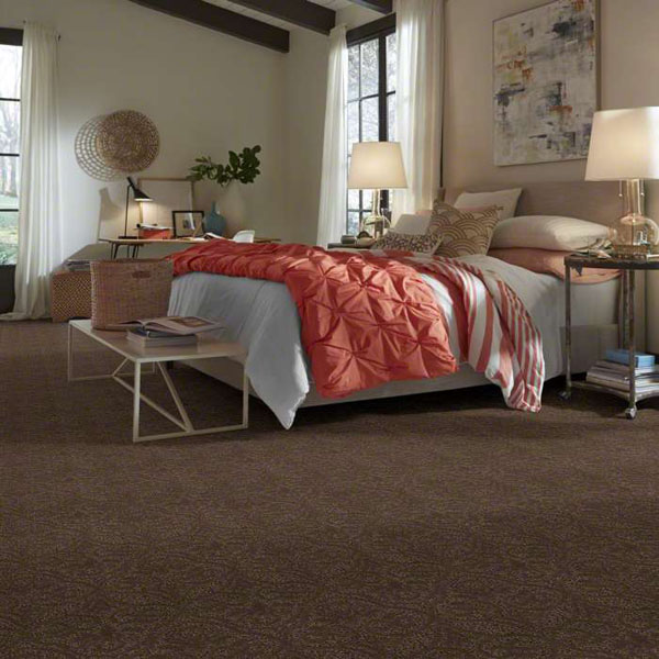 Modern Amenities - Mesquite