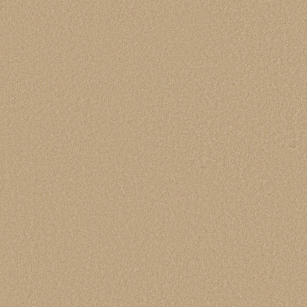 Magic At Last I 12 - Custard