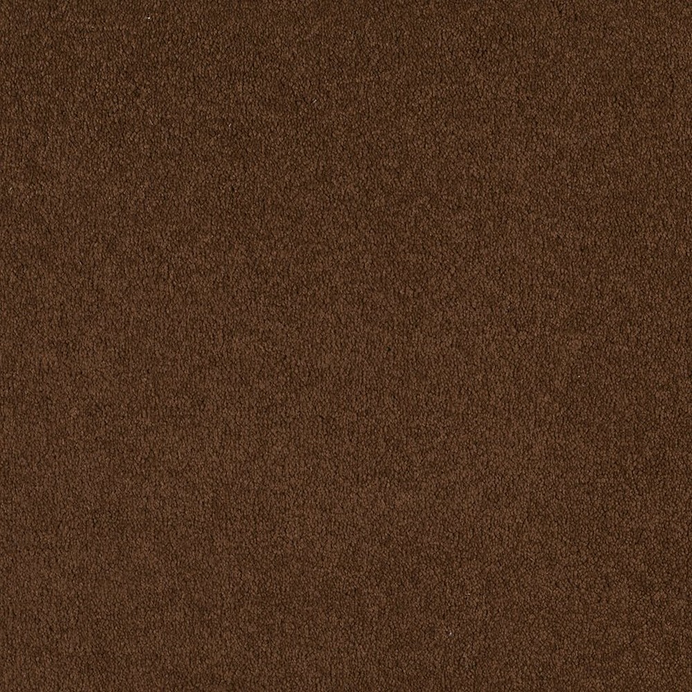 Magic At Last I 12 - Cocoa