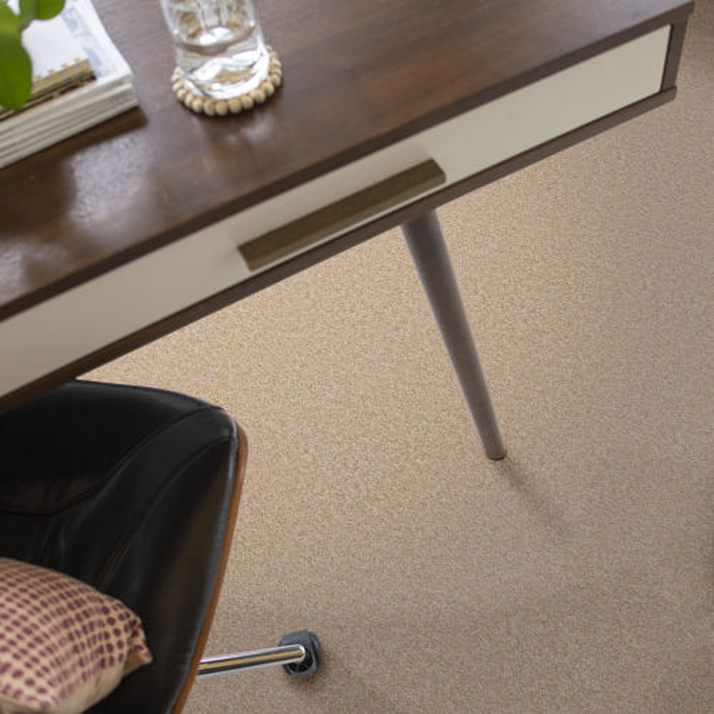Magic At Last Iv 12 - Shell