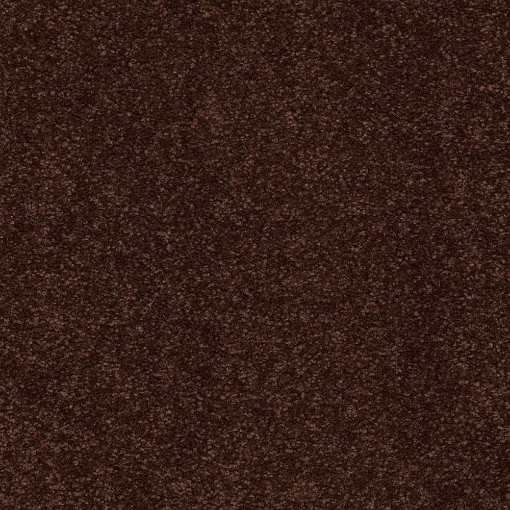 Magic At Last Iv 15 - Fudge Brownie
