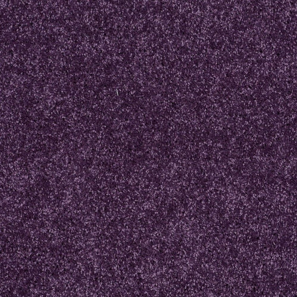 Kid Crossing - Grape Jelly