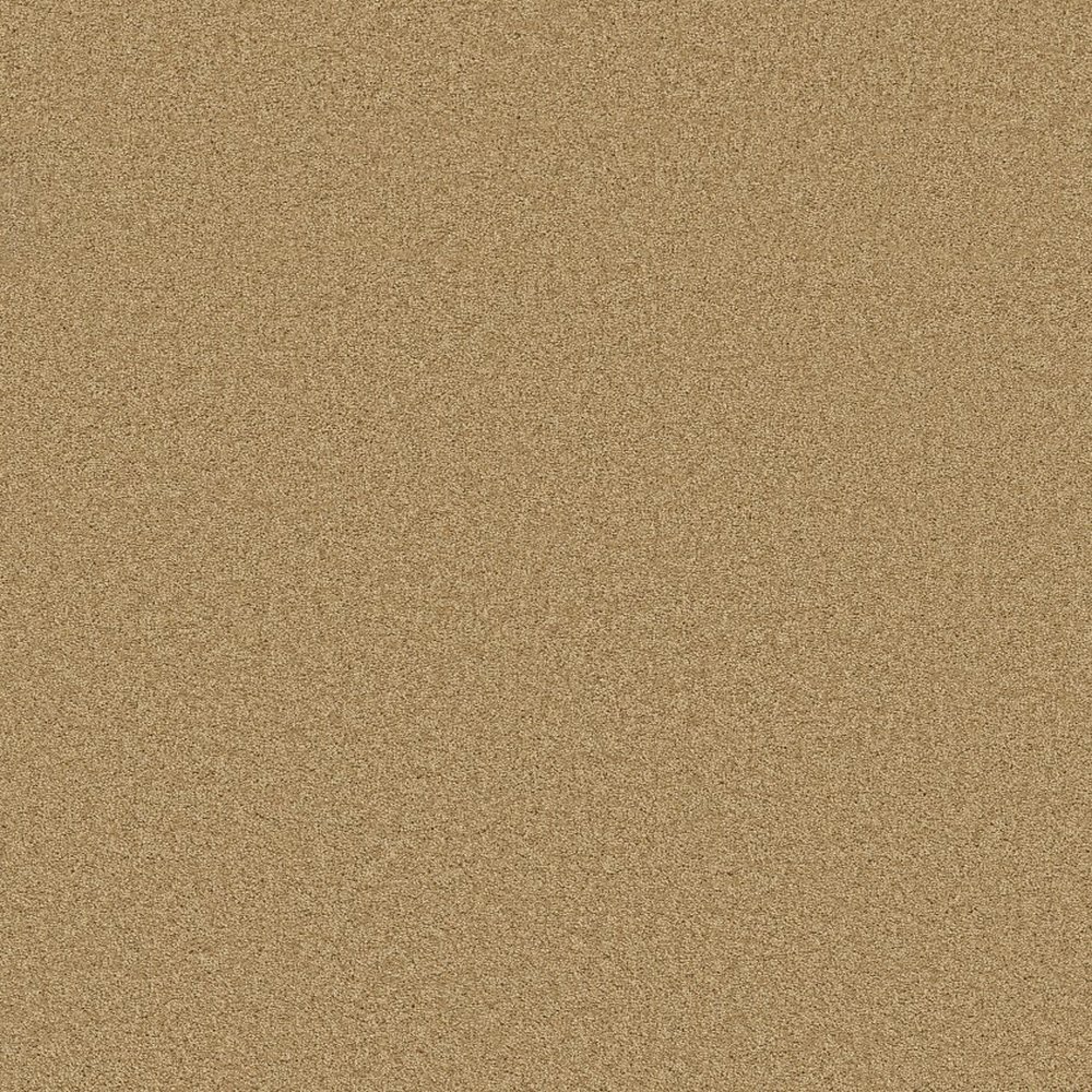 Enduring Comfort III - 12' - Sun Shower