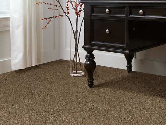 Picturesque - Travertine