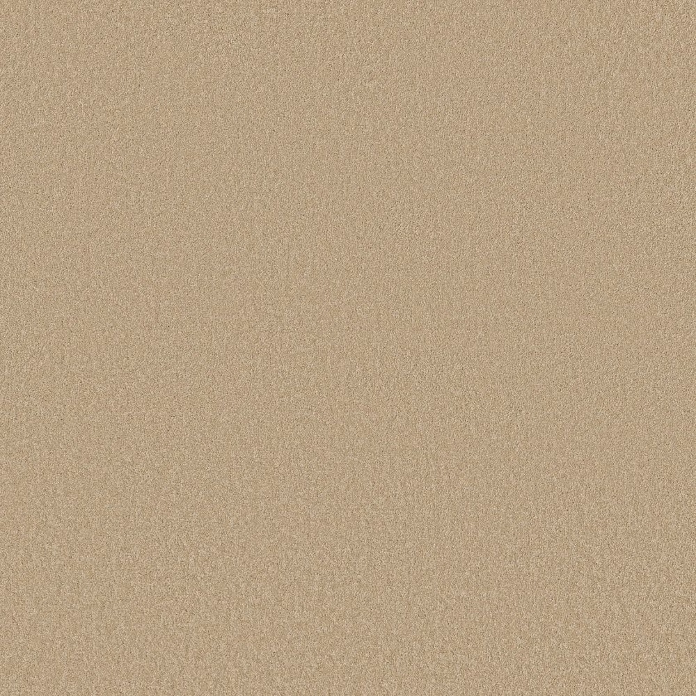 Sandy Hollow Classic I 12 - Cashew