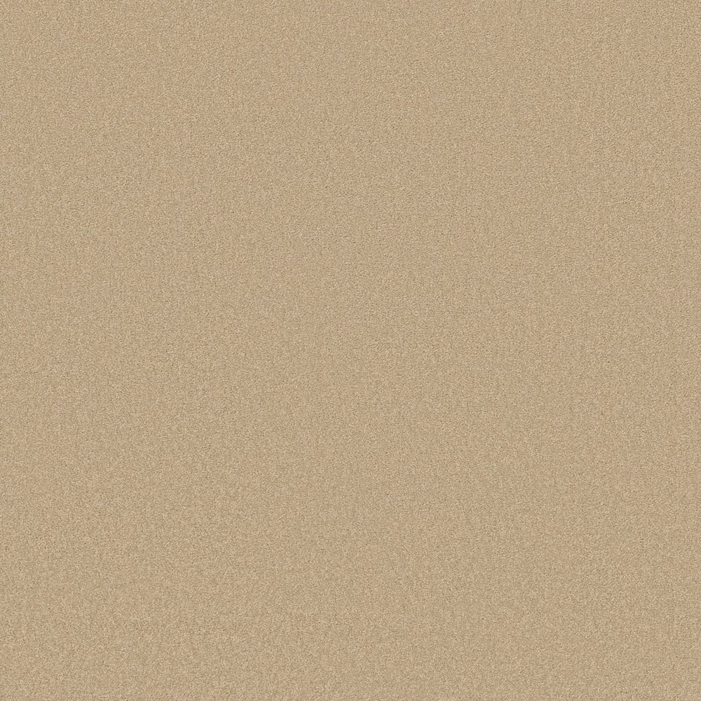 Sandy Hollow Classic Iv 12 - Cashew