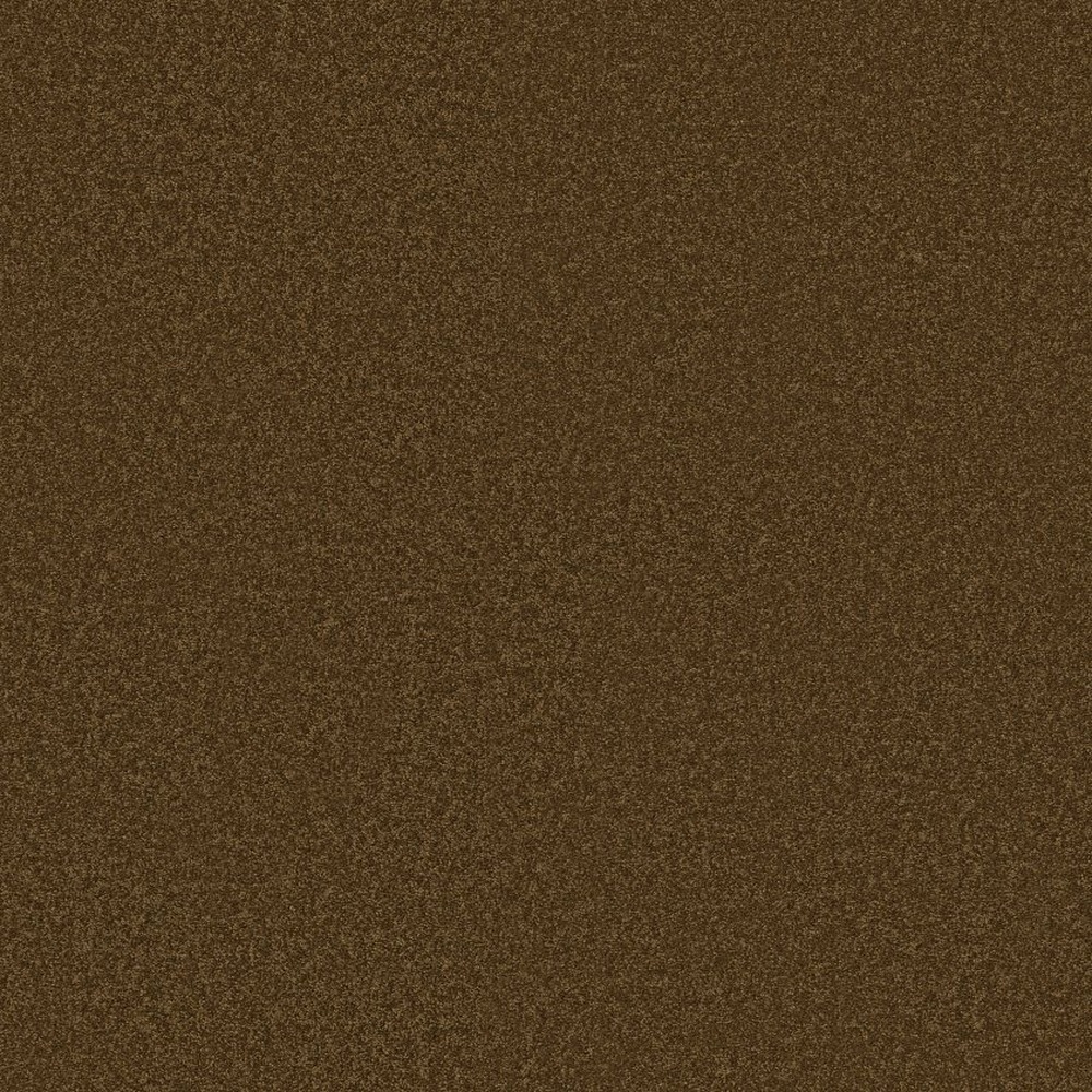 Sandy Hollow Classic Iv 15 - Tortoise Shell