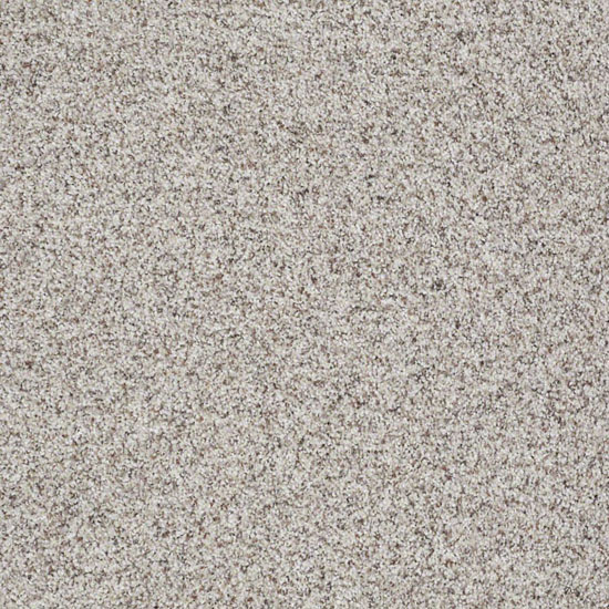 Like No Other I | Shaw Carpet | Save 30-50% at Carpet Express Soft Shades