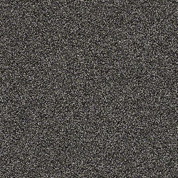 Of Course We Can III (Soot) by Shaw Carpet Huge Savings