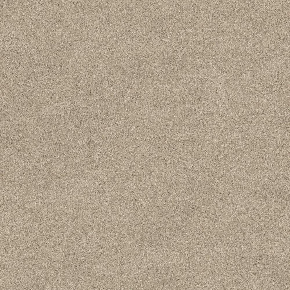 Keen Senses II - Barista