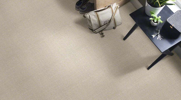 Sensible Now - Studio Taupe