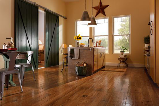 American Scrape - Cajun Spice