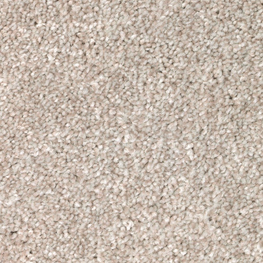 Polished Shades I - Cypress